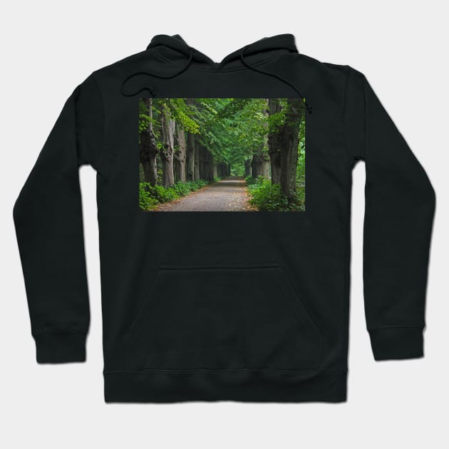 Path Hoodie by Trine